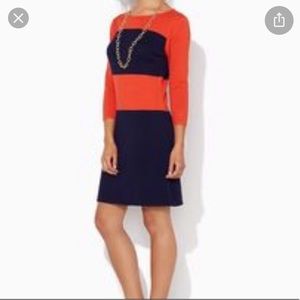 Charming Charlie Sweater Dress